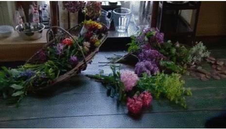 知道你们无聊，于是请来这些时装大师，陪你们一起宅在家中