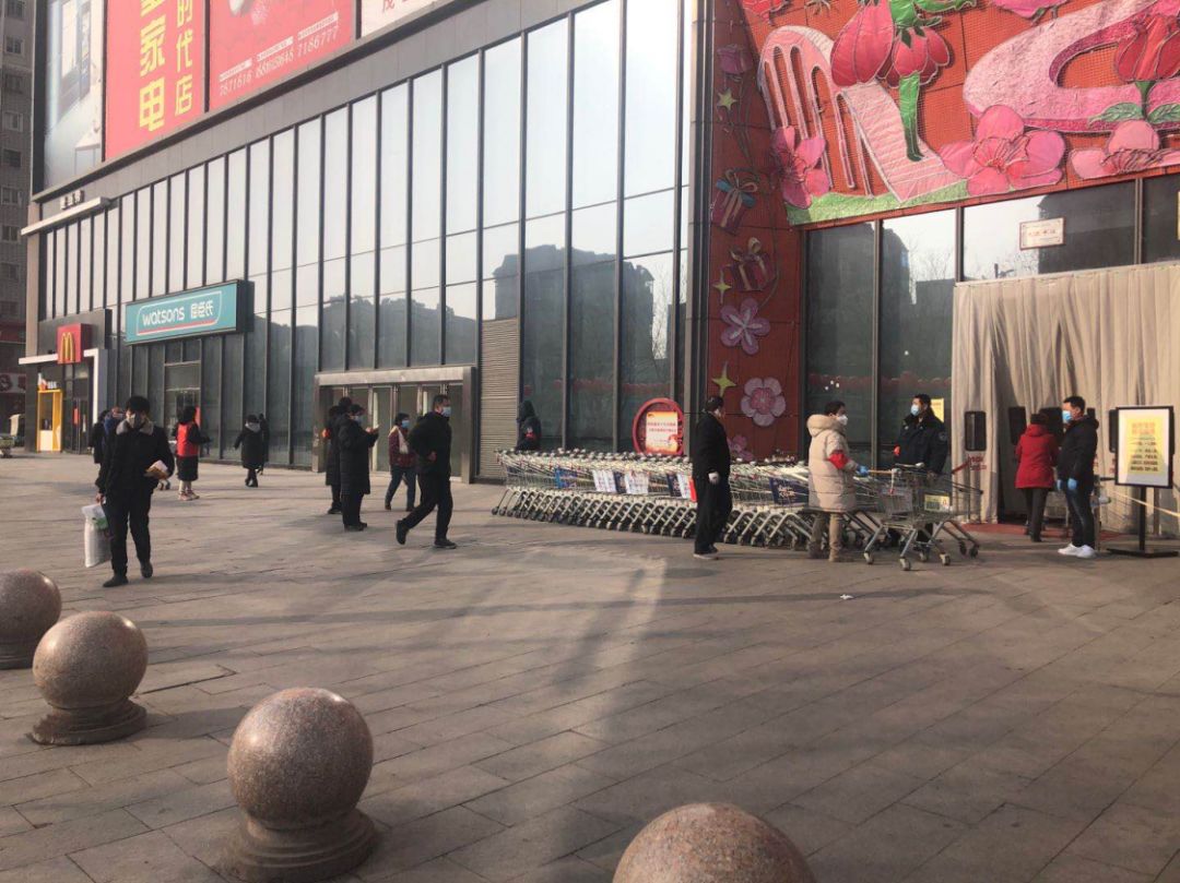 临淄最新菜价大全,今日菜价查询最新蔬菜价格表