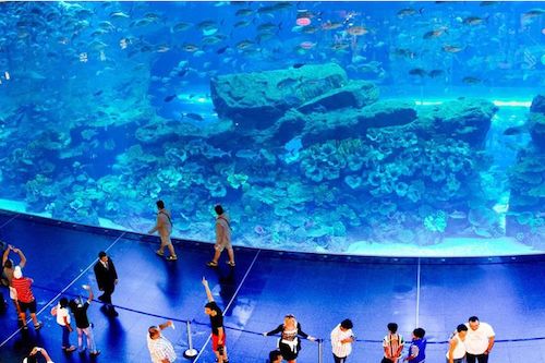 迪拜旅游6天4晚,迪拜旅游旅游团五日游