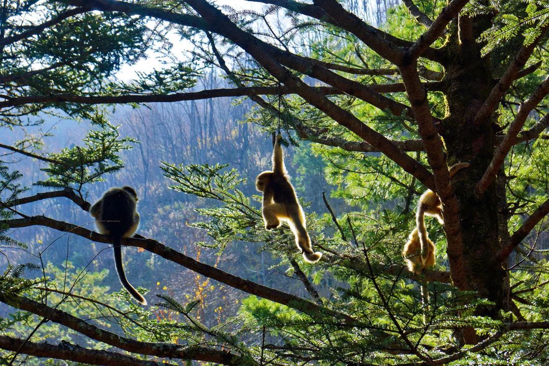 湖北不是只有武汉,湖北哪里跟武汉最近