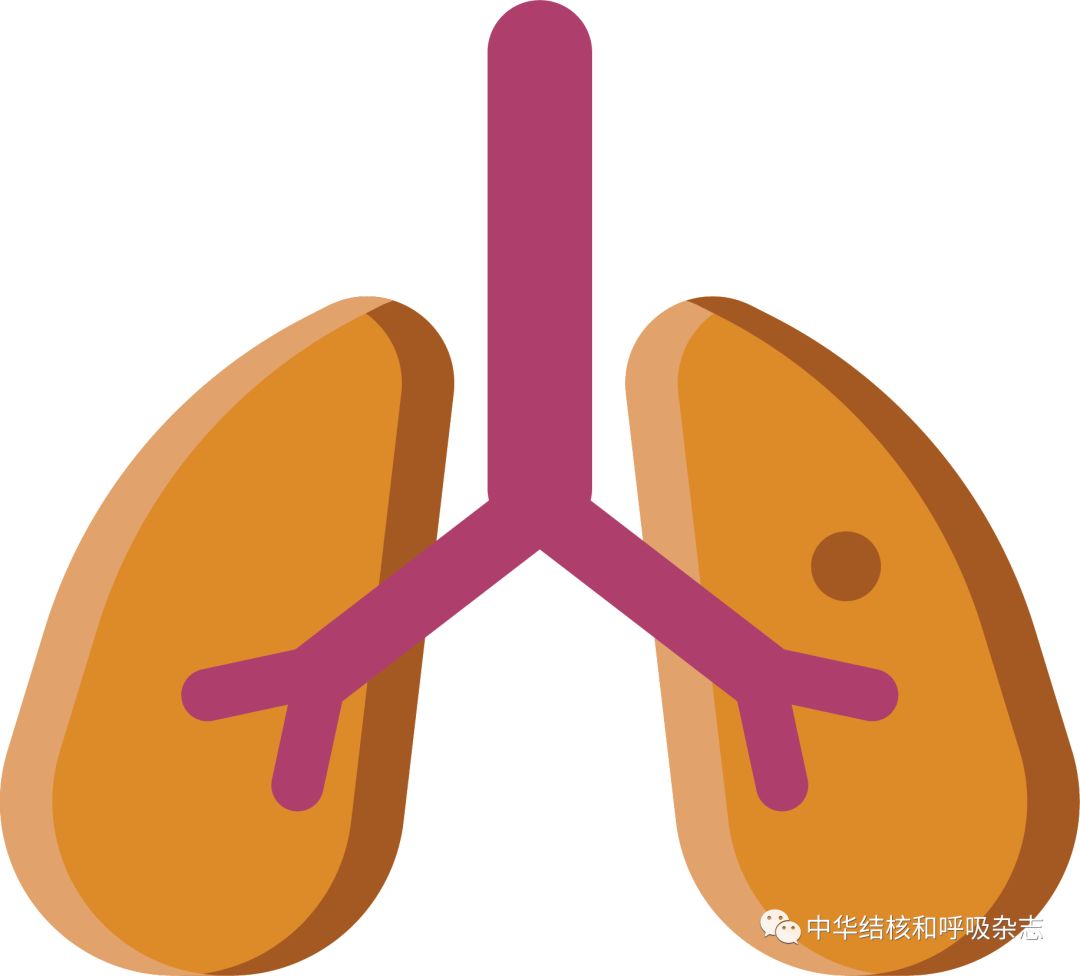 「综述」临床关注的新抗菌药物的研发进展