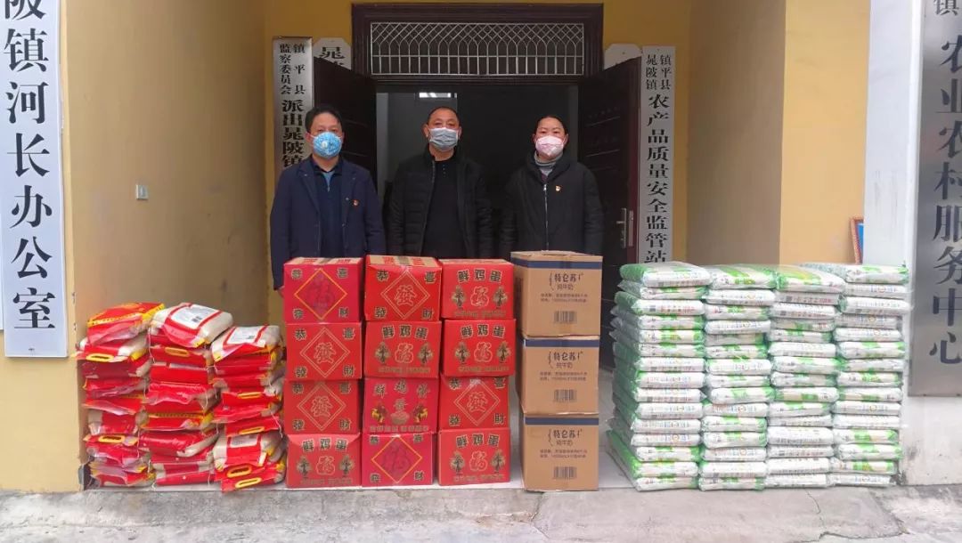*党**员一线抗疫，群众后方支援——镇平县晁陂镇抗击肺炎疫情纪实