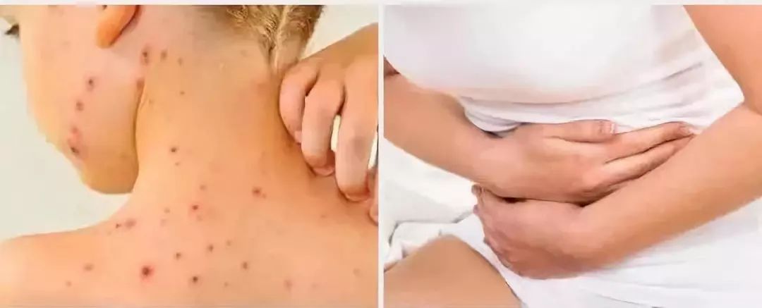 用马桶泡腾片洗洗衣机,洗衣机清洁泡腾片放马桶里