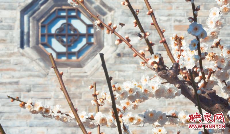 郑州樱桃沟附近景区,郑州樱桃沟旅游景点