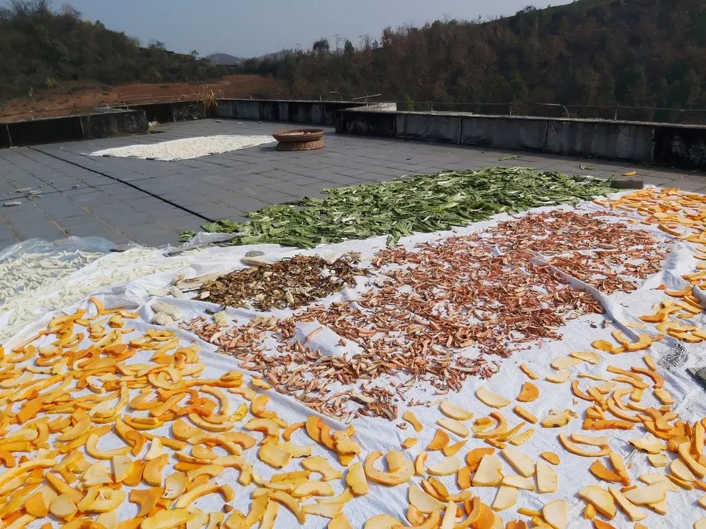 收到诈骗电话舍不得挂，看来他们也复工了，真好