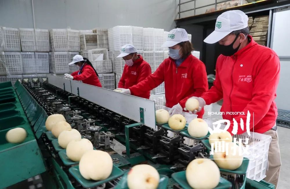 抗疫路上我们与时间赛跑,生命和时间赛跑抗疫