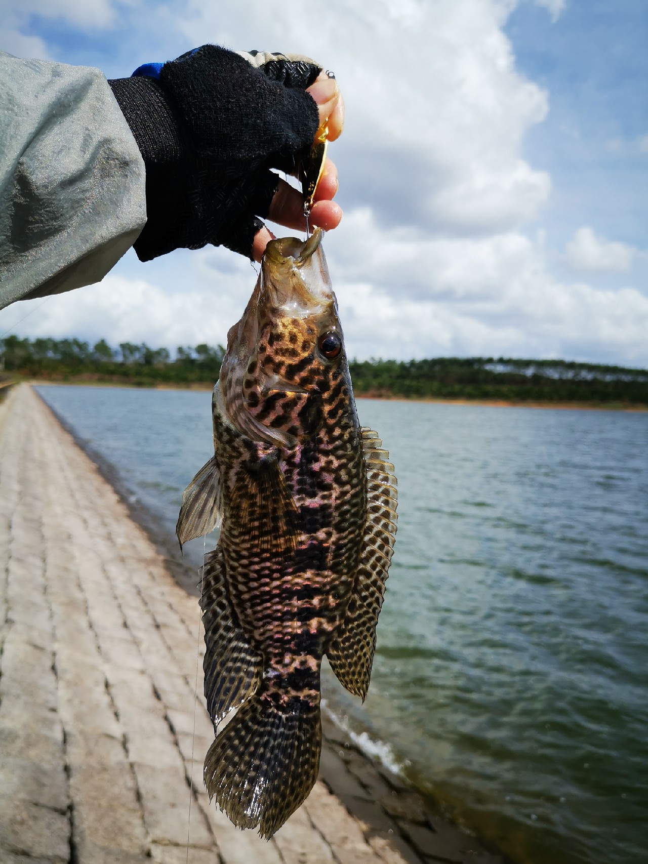 路亚一步到位还是循序渐进好,摸索反思