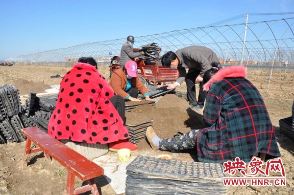 河南息县抓春耕,河南息县春耕生产