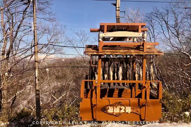 现在去日本买口罩,去日本买口罩日购
