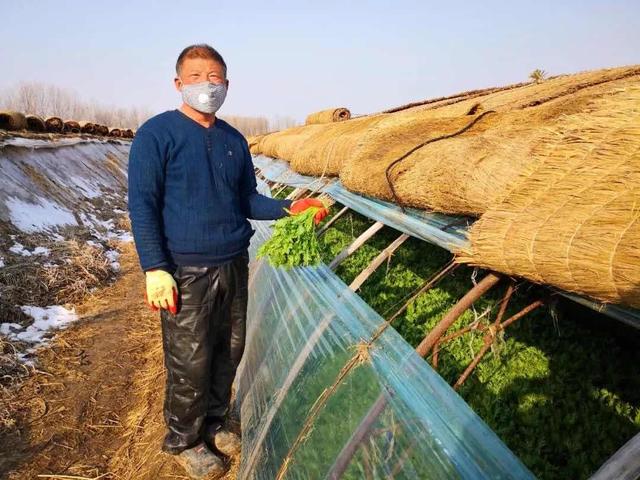 携手裕农“精准助菜农”旺顺阁平价蔬菜供给北京市场