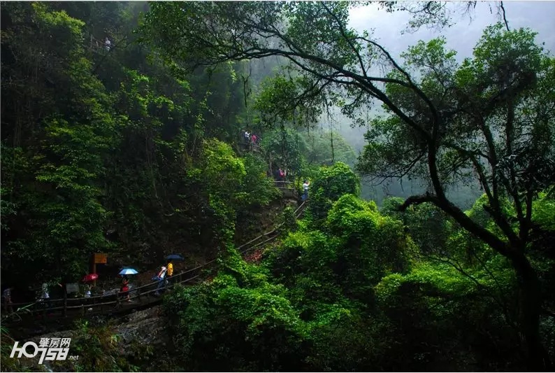 鼎湖山探秘,央视地理中国探秘鱼木洞