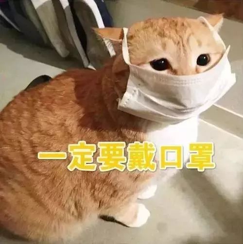 除了一碗米粉长沙人还怎么吃早餐,长沙人的早餐从吃第一碗粉开始