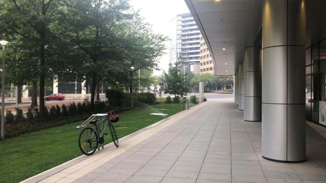 中国留学生回澳洲了吗,中国留学生回国后不适应