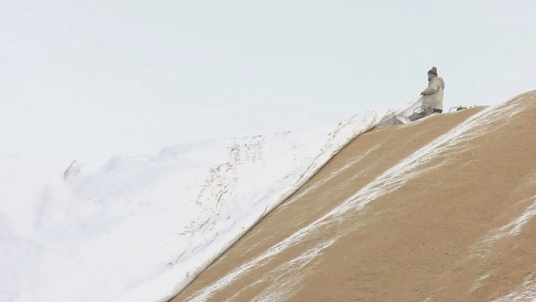 县粮食局：专人专班，助企惠农显成效