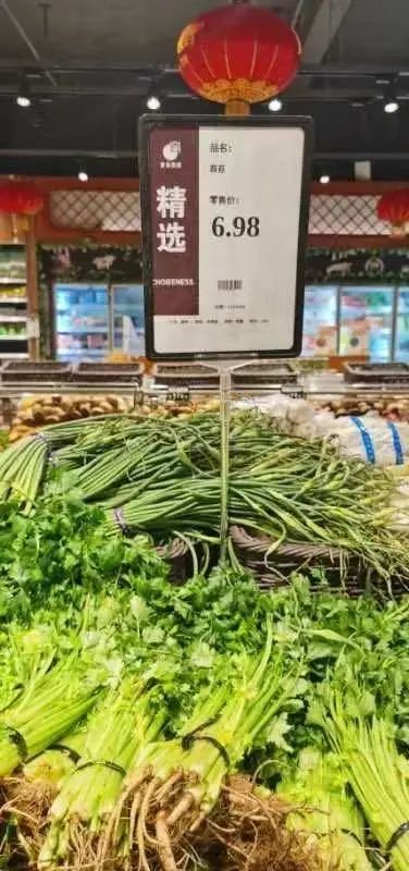 超市蒜苔45元一斤,湖北襄阳超市蒜苔