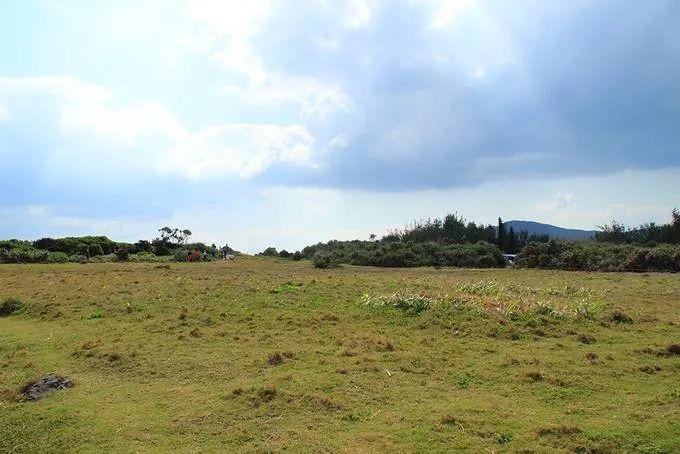 藏在诗词里的诗词,藏在古人诗词里的三春