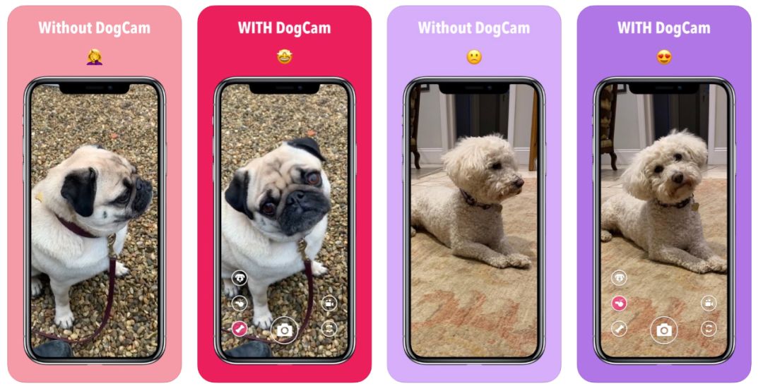 喵喵记账的app,推荐app喵喵记账