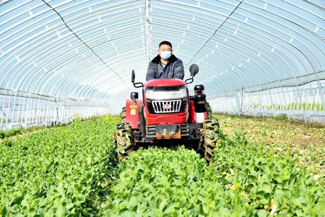 阜阳脱贫攻坚最新消息,脱贫攻坚阜阳在行动