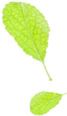 微信被盗怎么联系网警,网警可以管微信被盗吗