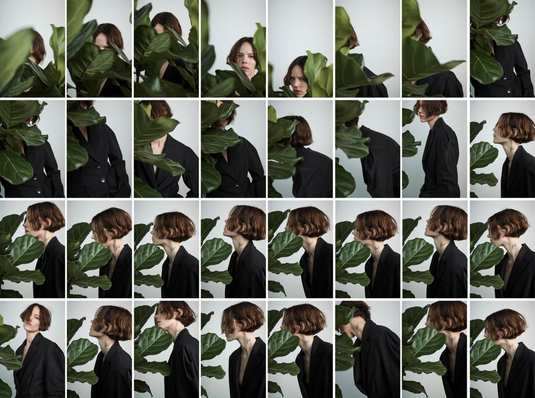 种草时间和方法,种草预算