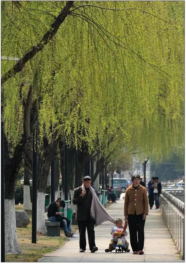 云和有什么特色地点,云和县城里的古街