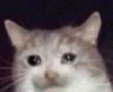 王一博同款遮瑕,2021春季限定彩妆