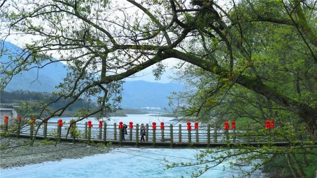 成都免费景区怎么预约,现在成都有哪些景区免费