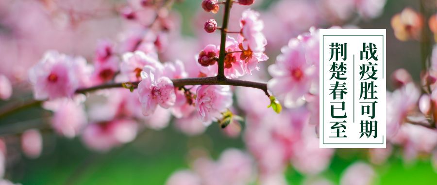 桂子山上的六名“小代购”赞！赞！赞！