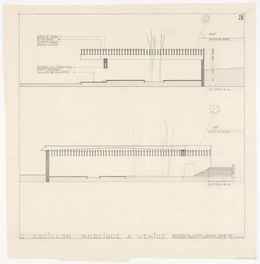 一起来植树的视频,今天适合植树吗