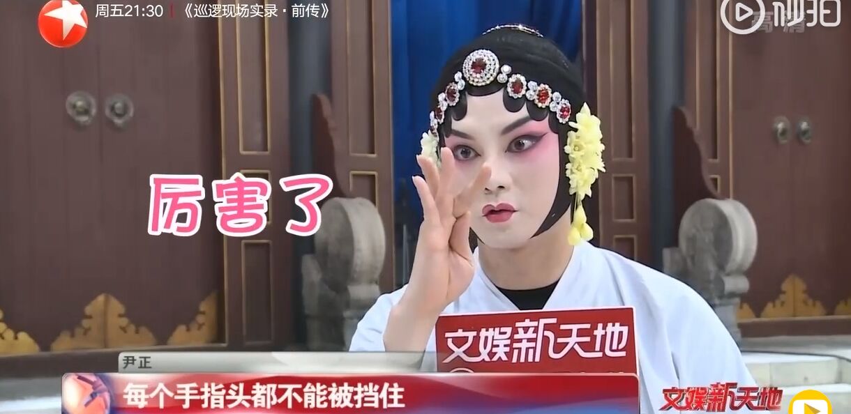 尹正鬓边不是海棠红怎样了,尹正看过鬓边不是海棠红的原著吗