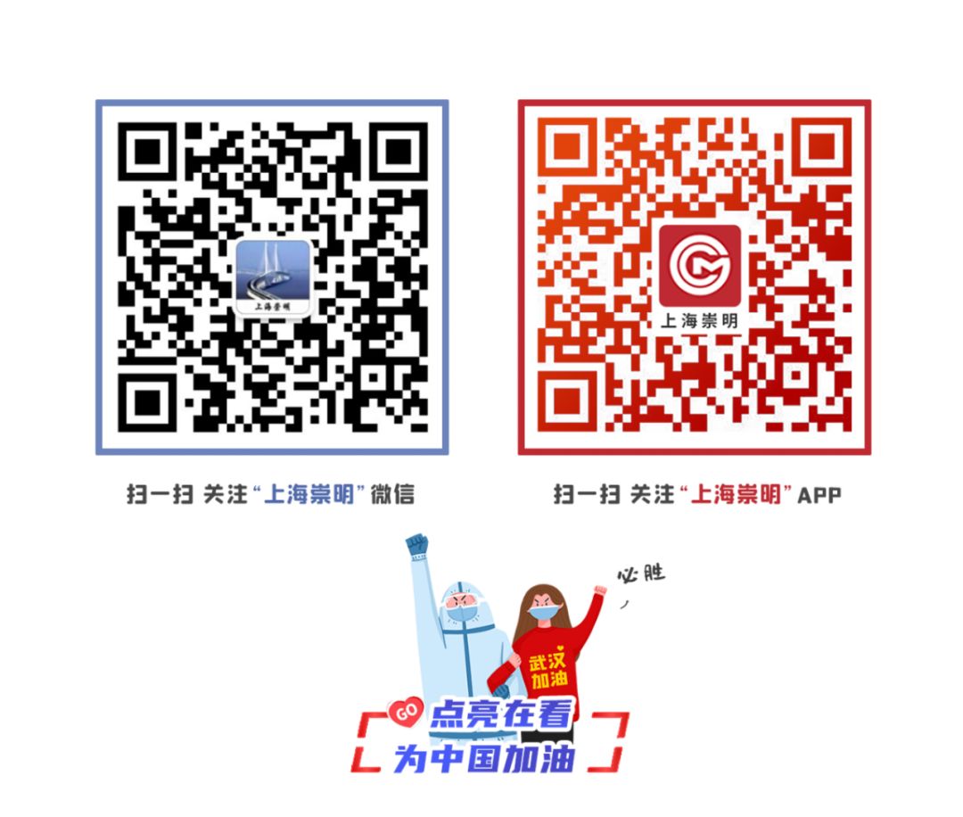 崇明岛比赛直播,上海崇明赛事视频