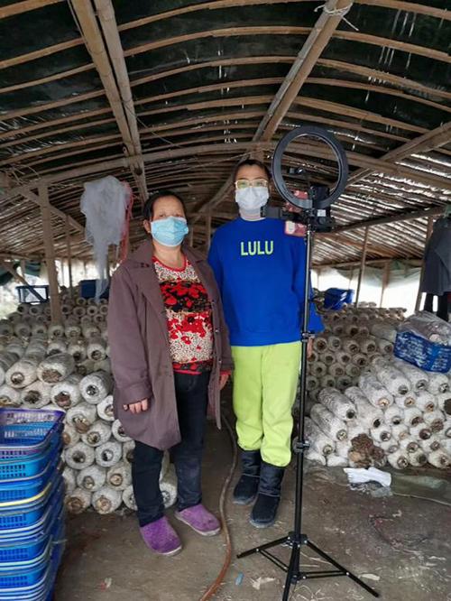 又是一年春来早家乡景色,又是一年春来早万物逢春在今朝