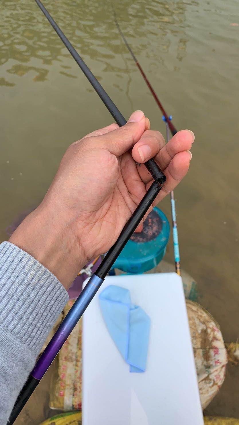 增江钓土鲮时间,增江土鲮爆护