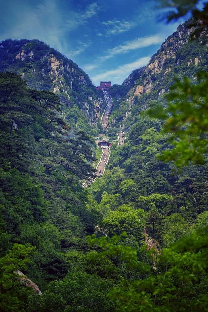 山东景区免费开放名单最新最全,山东景区门票免费政策最新