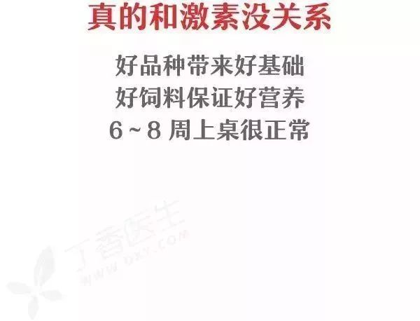 鸡头比*霜砒**还毒？鸡屁股全是毒素？正确吃鸡应该是......