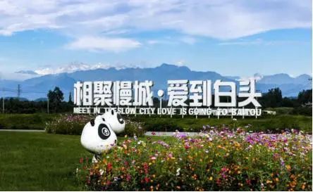 成都田园风光旅游攻略,成都旅游攻略清吧