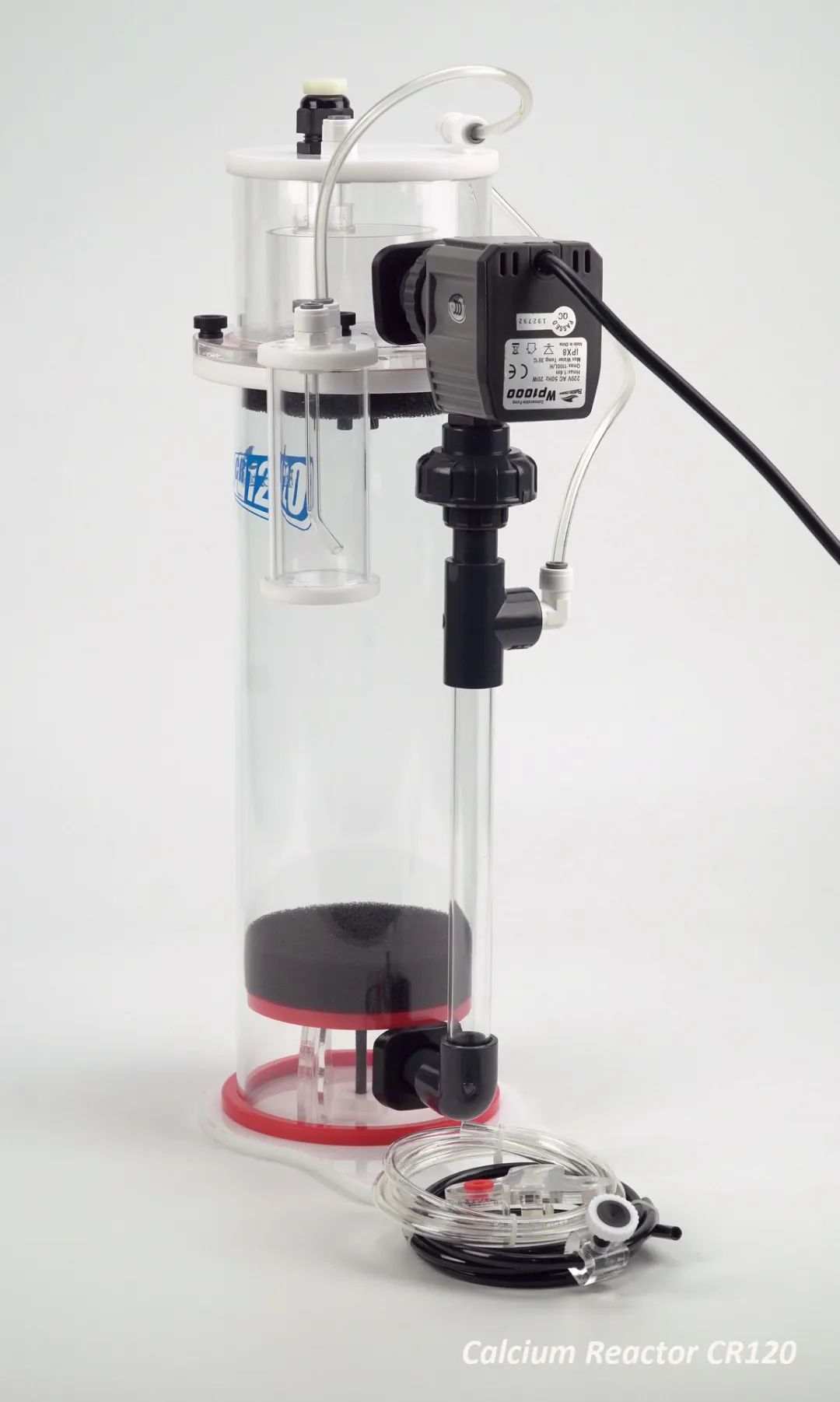 2020款，BM第3代钙反实测