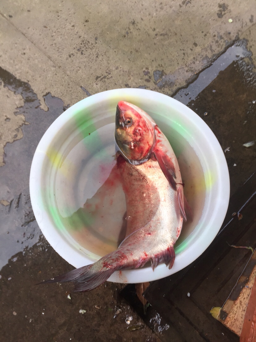 身着战袍,穿上节日盛装为祖国庆生