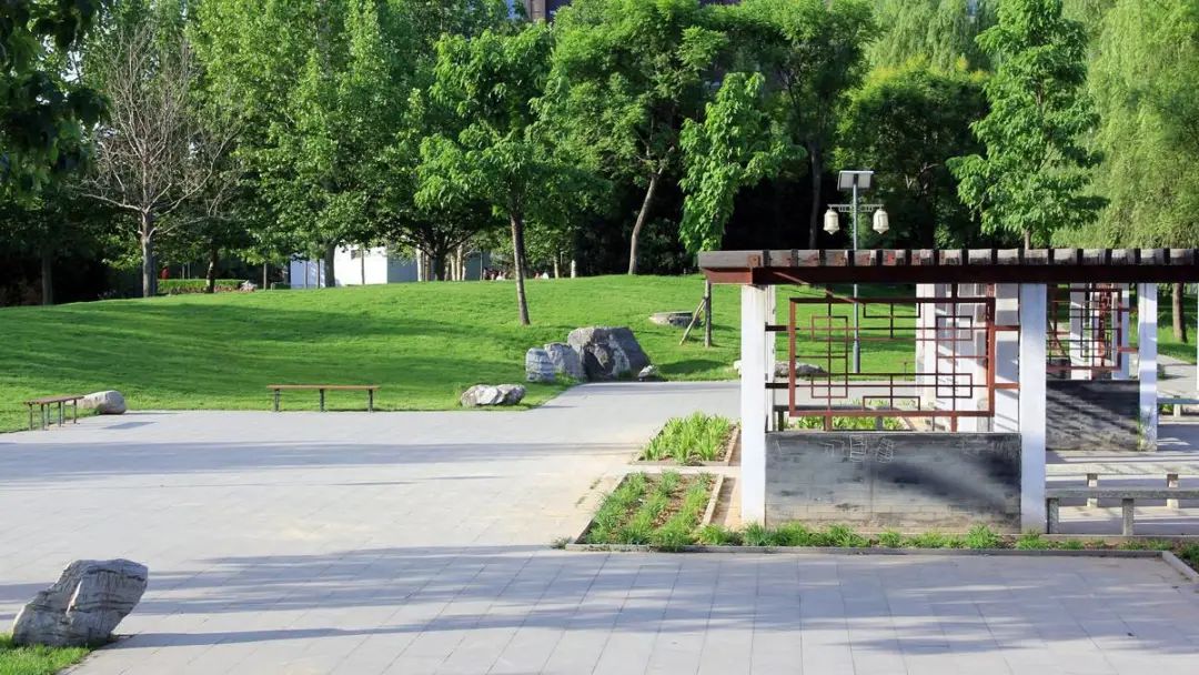 公园绿地建足球场,占地20亩足球主题公园规划图