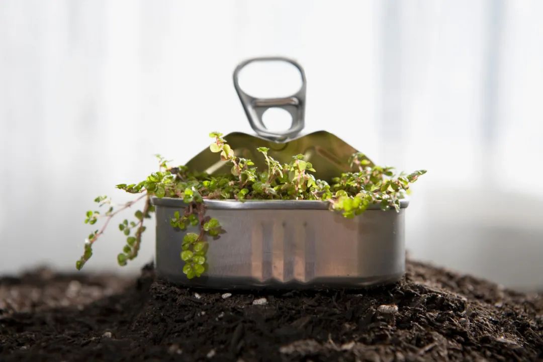 璇哄濂充綔瀹舵墭鍗″皵涓樺厠,鎵樺崱灏斾笜鍏嬭幏璇哄浣滃搧