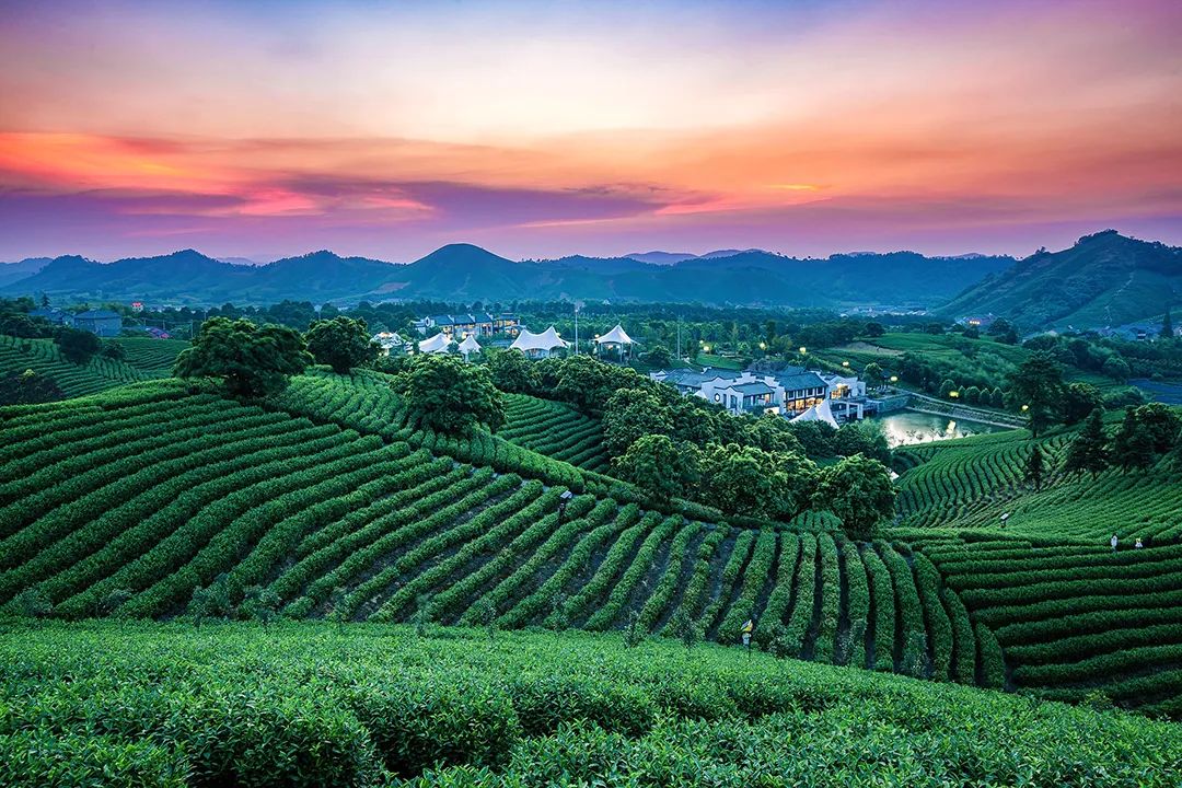 湖州温泉喜来登度假酒店,湖州喜来登温泉度假酒店