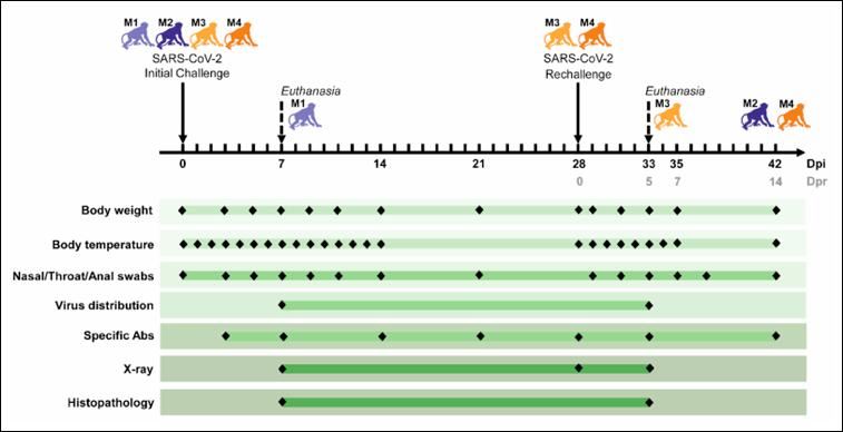 来，让我们认真地聊聊新冠疫苗