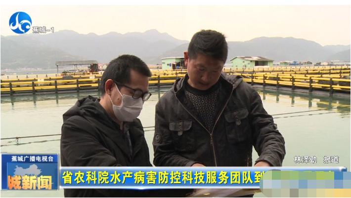 春季大黄鱼病害问题如何防治？别急，省农科院专家为您支招