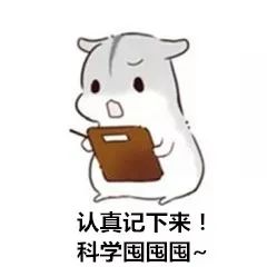 新品超柔软的纸尿裤来啦,品牌纸尿裤整箱限时优惠