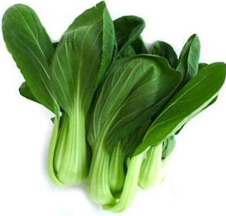 2020春季赏花指南,中国春色,满血复活