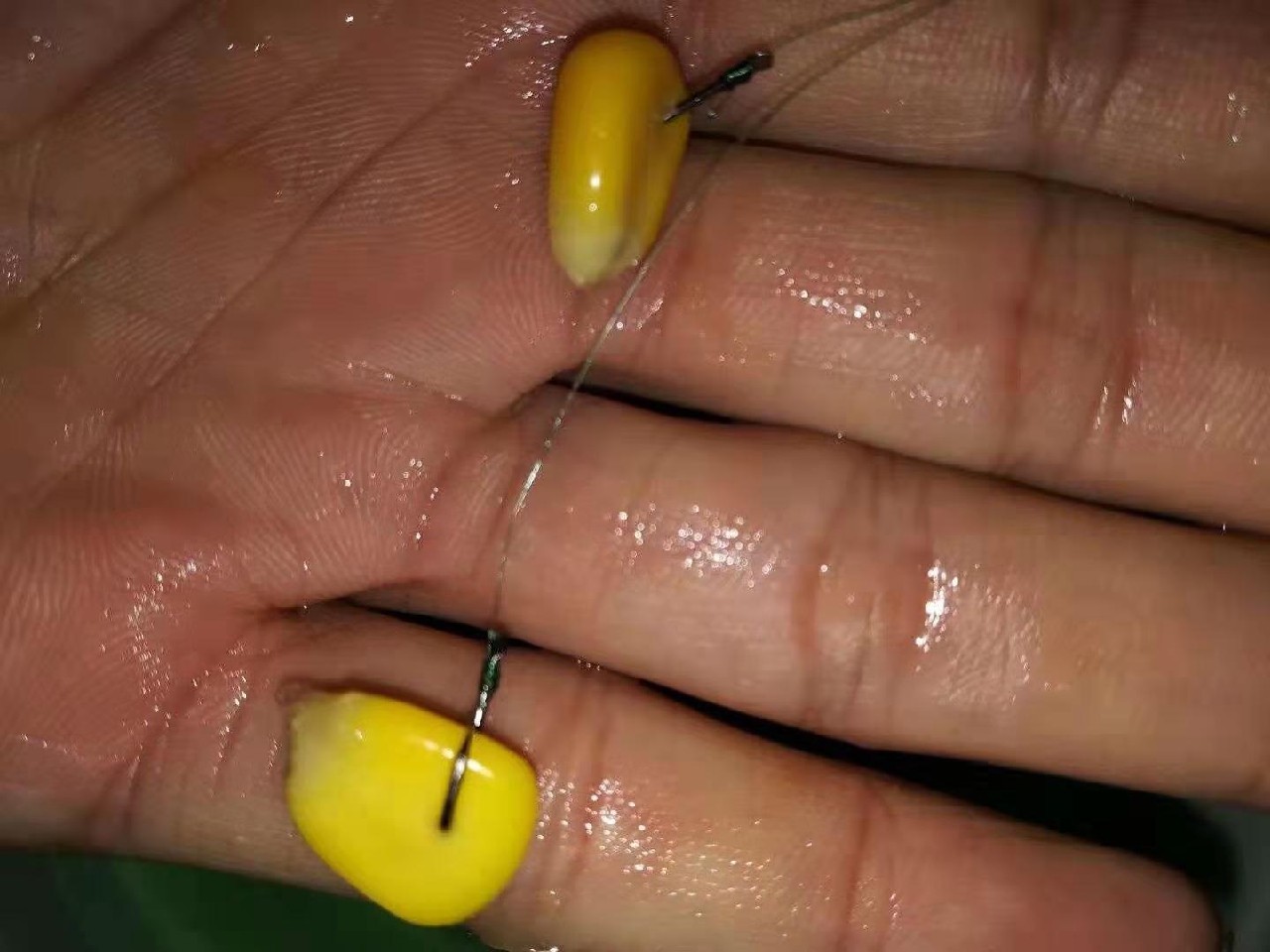 避免小杂鱼闹窝最好的办法,如何避免小杂鱼闹窝