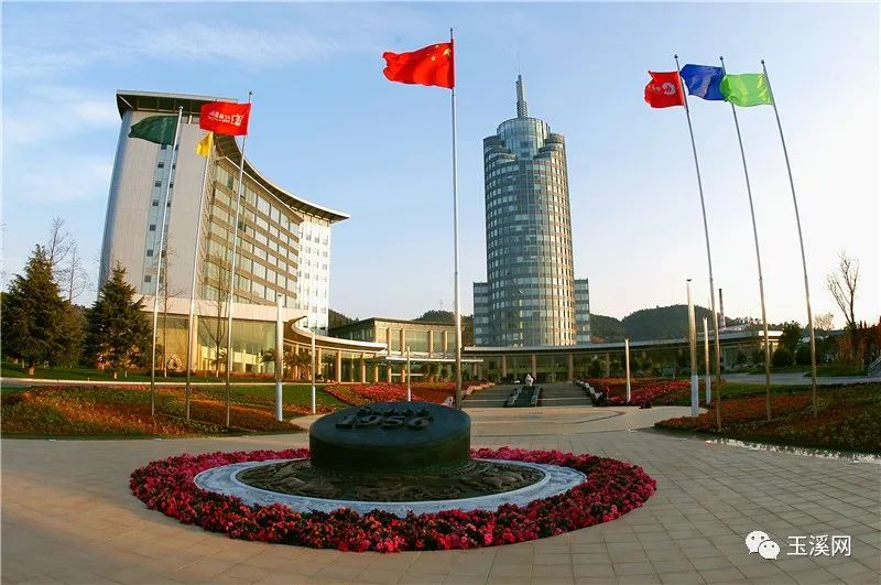 诗情画意文峰路,诗情画意岩茶