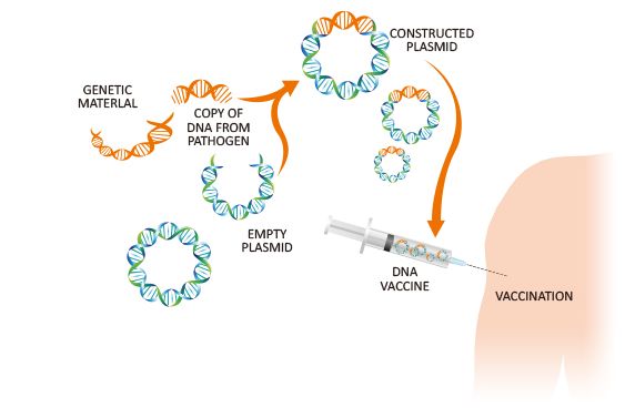 来，让我们认真地聊聊新冠疫苗