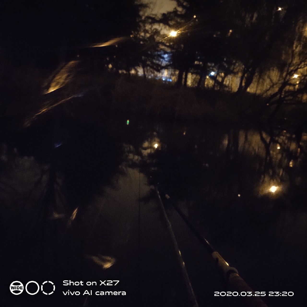 夜钓1号爆护位，人家鲤鱼爆护，我鲤毛未见