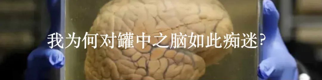 宇宙是虚拟世界,宇宙之谜真实事件